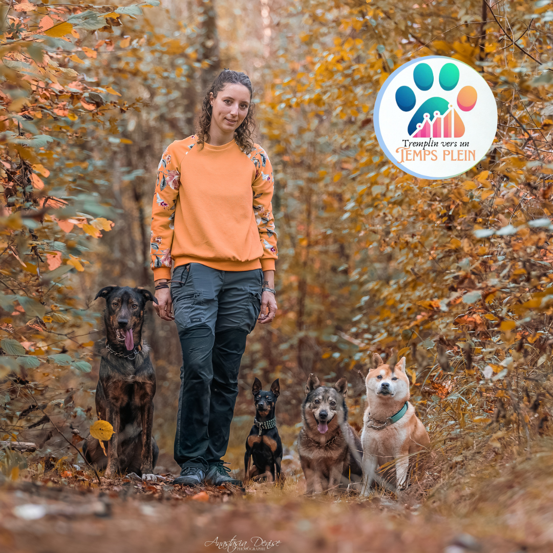 Développer son activité éducateur canin Développer son activité éducateur canin