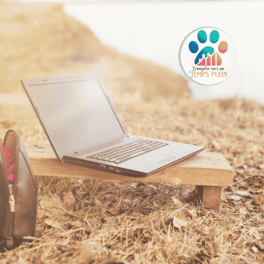 Référencement local pour éducateur canin : le guide pour être visible près de chez toi