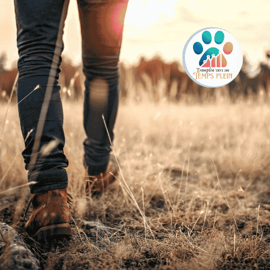 Comment devenir éducateur canin (et surtout : comment en vivre vraiment)