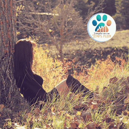 Comment je referais ma visibilité si je devais tout recommencer à zéro (éducateurs canins)