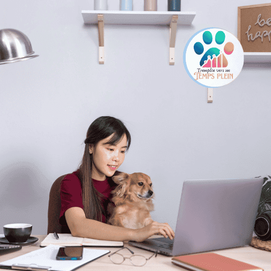 5 conseils marketing qui ne fonctionnent pas pour les éducateurs canins